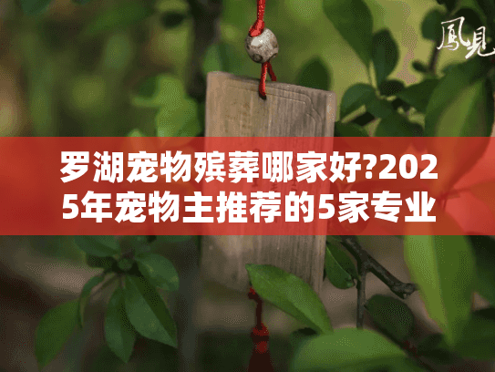 罗湖宠物殡葬哪家好?2025年宠物主推荐的5家专业机构服务对比