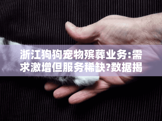 浙江狗狗宠物殡葬业务:需求激增但服务稀缺?数据揭示什么?
