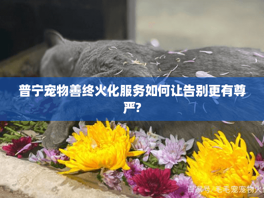 普宁宠物善终火化服务如何让告别更有尊严?