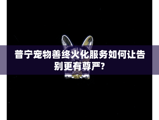 普宁宠物善终火化服务如何让告别更有尊严?
