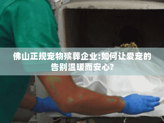 佛山正规宠物殡葬企业:如何让爱宠的告别温暖而安心?