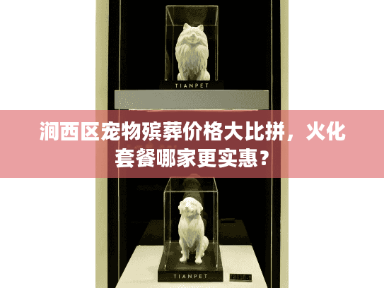 涧西区宠物殡葬价格大比拼，火化套餐哪家更实惠？