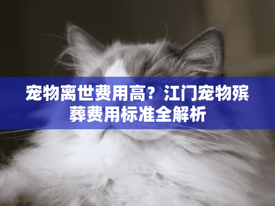 宠物离世费用高？江门宠物殡葬费用标准全解析