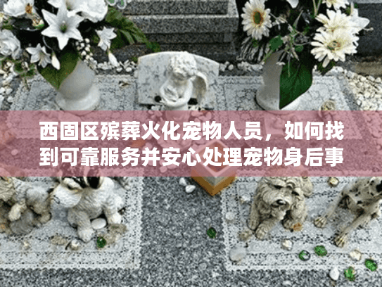 西固区殡葬火化宠物人员，如何找到可靠服务并安心处理宠物身后事？