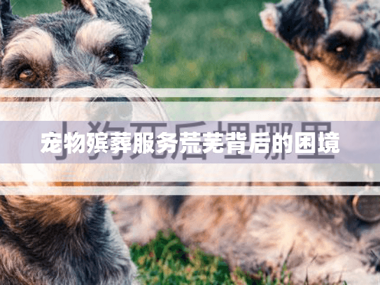 宠物殡葬服务荒芜背后的困境