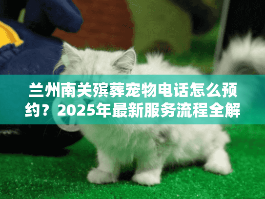 兰州南关殡葬宠物电话怎么预约？2025年最新服务流程全解