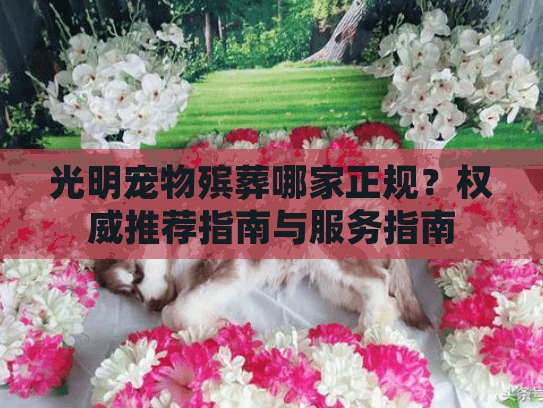 光明宠物殡葬哪家正规？权威推荐指南与服务指南