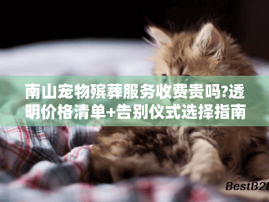 南山宠物殡葬服务收费贵吗?透明价格清单+告别仪式选择指南
