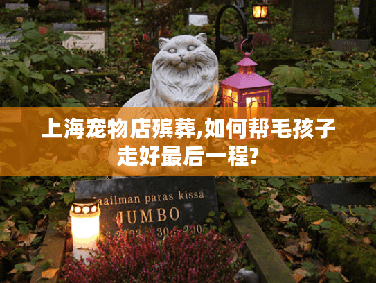 上海宠物店殡葬,如何帮毛孩子走好最后一程?