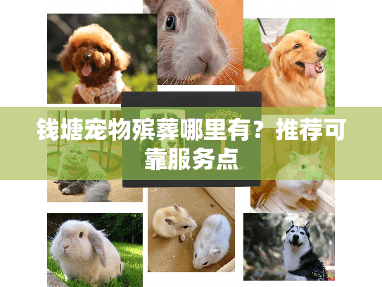 钱塘宠物殡葬哪里有？推荐可靠服务点