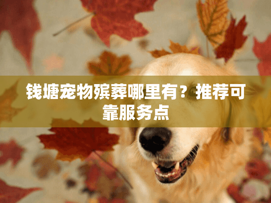 钱塘宠物殡葬哪里有？推荐可靠服务点