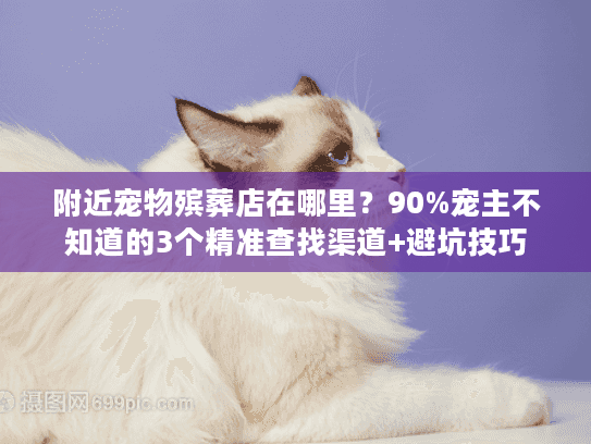 附近宠物殡葬店在哪里？90%宠主不知道的3个精准查找渠道+避坑技巧