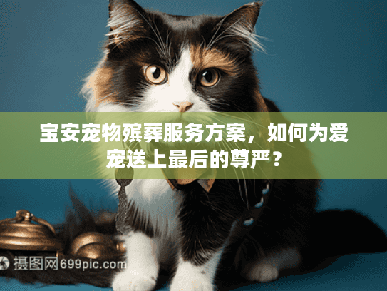 宝安宠物殡葬服务方案，如何为爱宠送上最后的尊严？