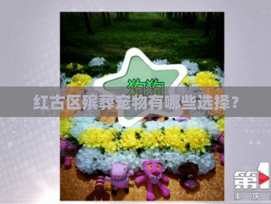 红古区殡葬宠物有哪些选择？