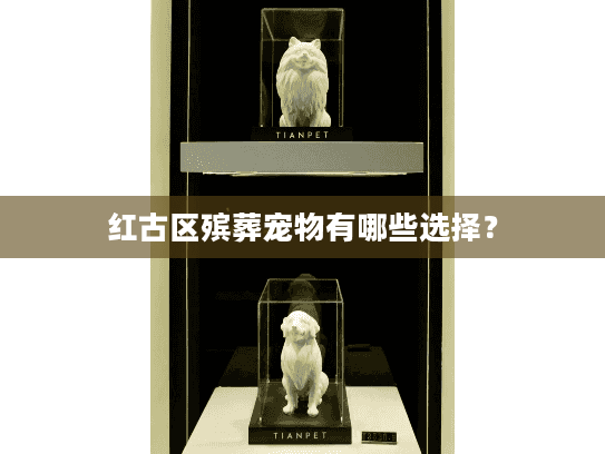 红古区殡葬宠物有哪些选择？