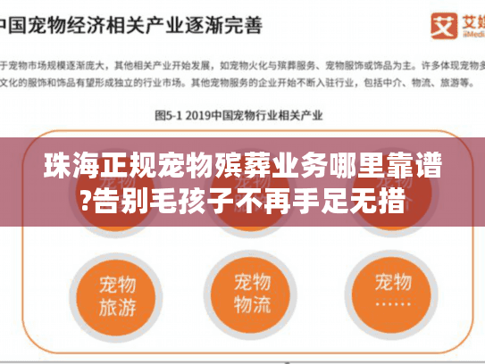 珠海正规宠物殡葬业务哪里靠谱?告别毛孩子不再手足无措
