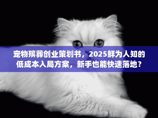 宠物殡葬创业策划书，2025鲜为人知的低成本入局方案，新手也能快速落地？