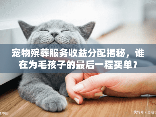 宠物殡葬服务收益分配揭秘，谁在为毛孩子的最后一程买单？