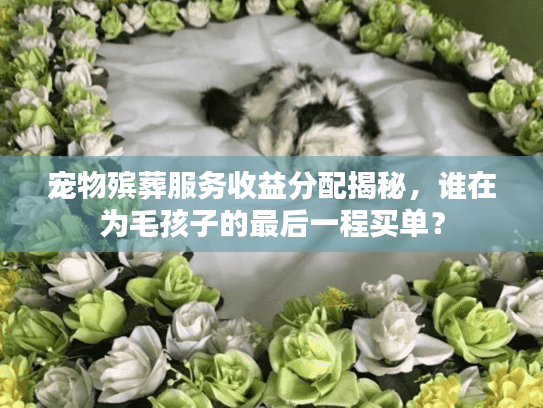 宠物殡葬服务收益分配揭秘，谁在为毛孩子的最后一程买单？