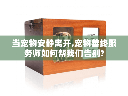 当宠物安静离开,宠物善终服务师如何帮我们告别?