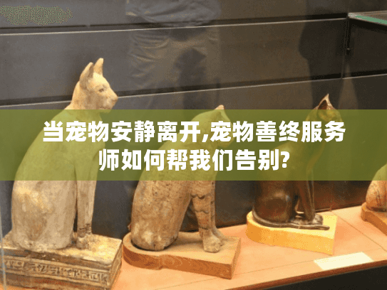 当宠物安静离开,宠物善终服务师如何帮我们告别?