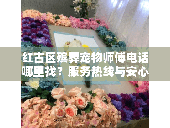 红古区殡葬宠物师傅电话哪里找？服务热线与安心指南