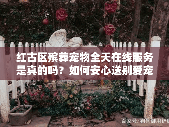 红古区殡葬宠物全天在线服务是真的吗？如何安心送别爱宠