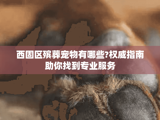 西固区殡葬宠物有哪些?权威指南助你找到专业服务