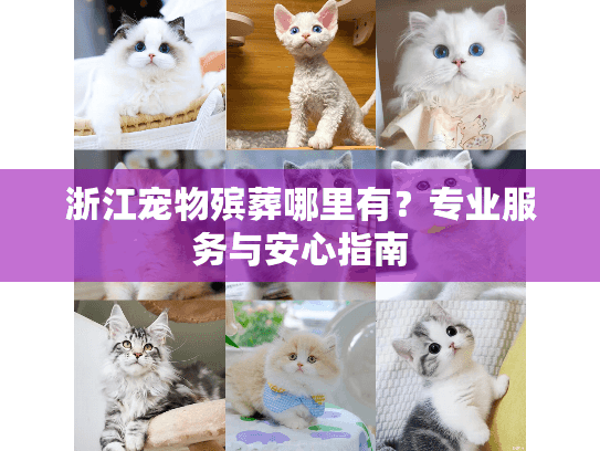 浙江宠物殡葬哪里有？专业服务与安心指南