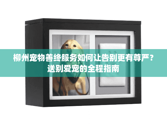 柳州宠物善终服务如何让告别更有尊严？送别爱宠的全程指南