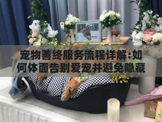 宠物善终服务流程详解:如何体面告别爱宠并避免隐藏消费陷阱?