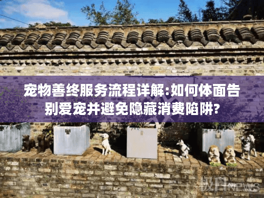 宠物善终服务流程详解:如何体面告别爱宠并避免隐藏消费陷阱?