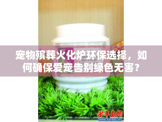 宠物殡葬火化炉环保选择，如何确保爱宠告别绿色无害？