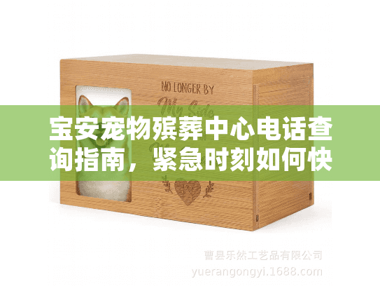 宝安宠物殡葬中心电话查询指南，紧急时刻如何快速解决您的需求