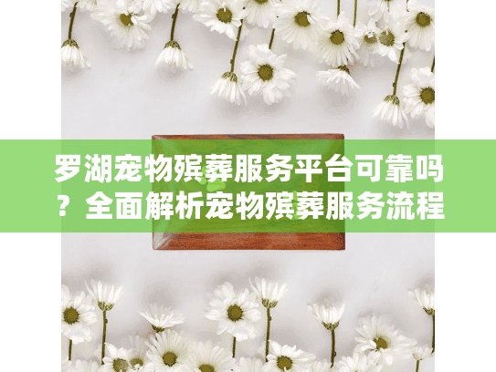 罗湖宠物殡葬服务平台可靠吗？全面解析宠物殡葬服务流程