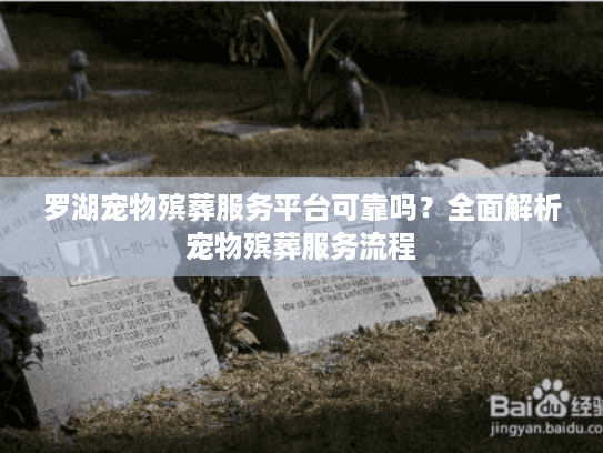 罗湖宠物殡葬服务平台可靠吗？全面解析宠物殡葬服务流程