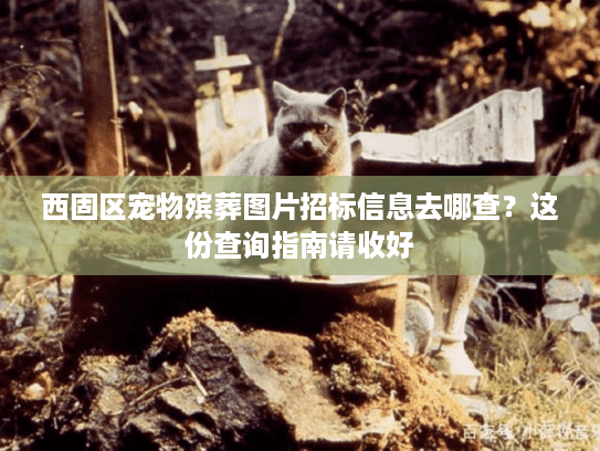 西固区宠物殡葬图片招标信息去哪查？这份查询指南请收好