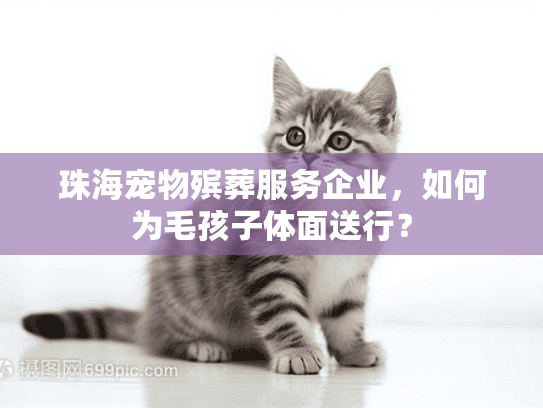 珠海宠物殡葬服务企业，如何为毛孩子体面送行？