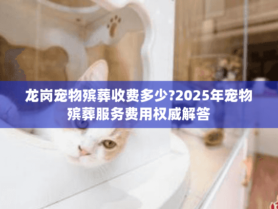 龙岗宠物殡葬收费多少?2025年宠物殡葬服务费用权威解答