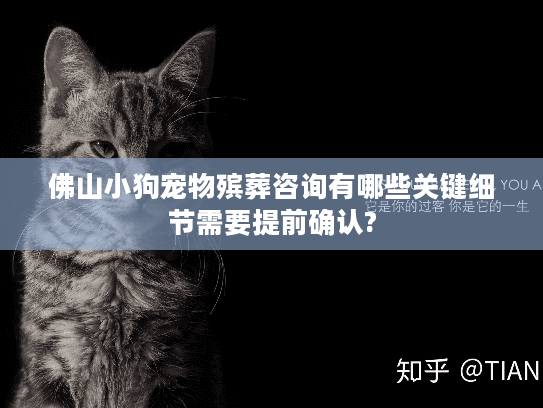 佛山小狗宠物殡葬咨询有哪些关键细节需要提前确认?