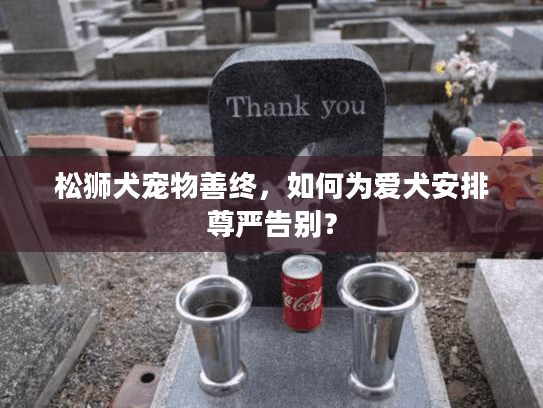 松狮犬宠物善终，如何为爱犬安排尊严告别？