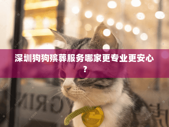 深圳狗狗殡葬服务哪家更专业更安心？