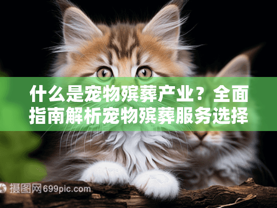 什么是宠物殡葬产业？全面指南解析宠物殡葬服务选择
