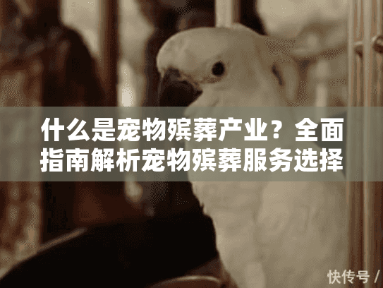 什么是宠物殡葬产业？全面指南解析宠物殡葬服务选择