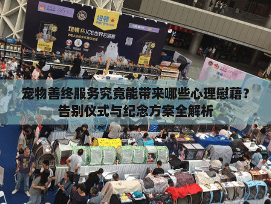 宠物善终服务究竟能带来哪些心理慰藉？告别仪式与纪念方案全解析