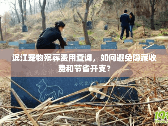 滨江宠物殡葬费用查询，如何避免隐藏收费和节省开支？