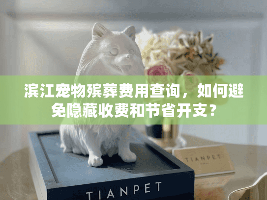滨江宠物殡葬费用查询，如何避免隐藏收费和节省开支？