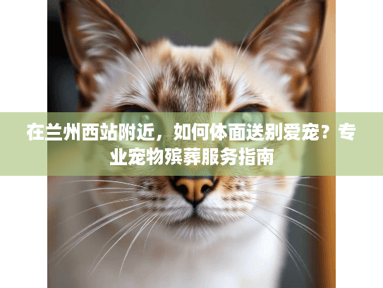 在兰州西站附近，如何体面送别爱宠？专业宠物殡葬服务指南