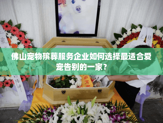 佛山宠物殡葬服务企业如何选择最适合爱宠告别的一家？