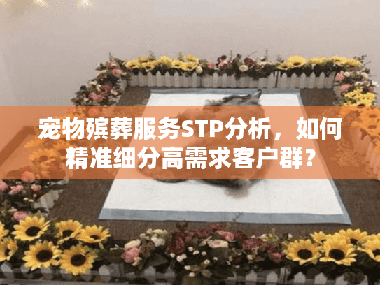 宠物殡葬服务STP分析，如何精准细分高需求客户群？